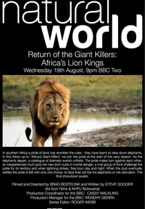 BBC Natural World - Return of the Giant Killers: Africa's Lion Kings (BBC Natural World - Return of the Giant Killers: Africa's Lion Kings)