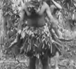Torres Strait Islanders: Three Dancers