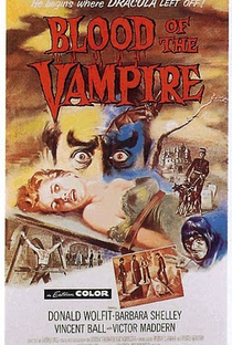 A Noite do Vampiro - Poster / Capa / Cartaz - Oficial 1