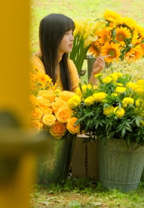 Dark Yellow (다크 옐로우)