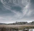 Sapelo