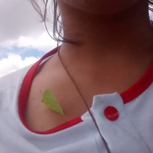 Foto de perfil de Joana Cerqueira