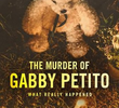 O Assassinato de Gabby Petito: O Que Aconteceu?