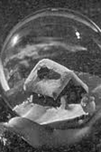  de Filme Precious images (1986)