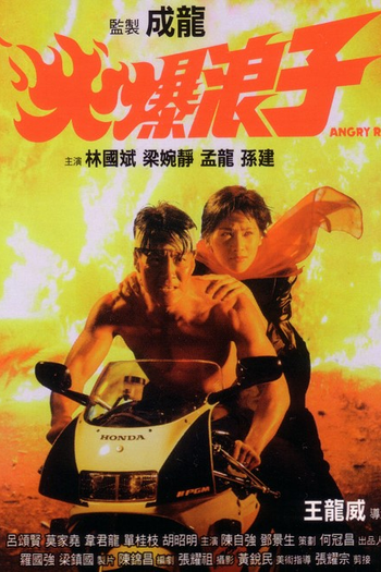 Poster de Filme Angry Ranger (1991)