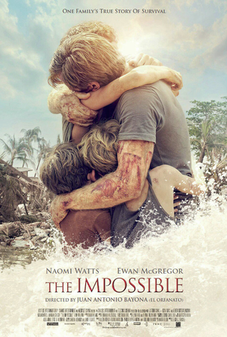 Poster 18 de Filme O Impossível (2012)