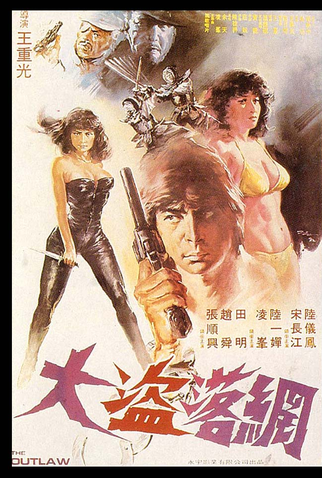 Poster 1 de Filme The Outlaw (1982)