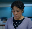 25회