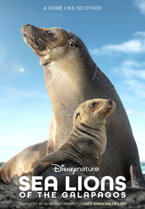 Sea Lions of the Galapagos (Sea Lions of the Galapagos)