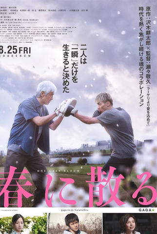 Poster 2 de Filme Haru ni Chiru (2023)