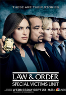 Lei & Ordem: Unidade de Vítimas Especiais (17ª Temporada) (Law & Order: Special Victims Unit (Season 17))