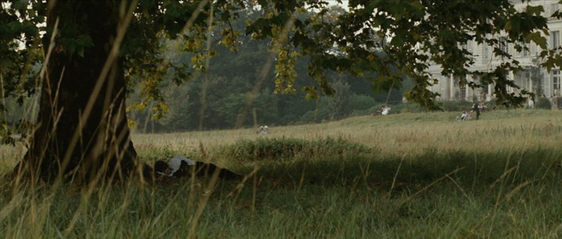 Savanna Aires - Foto 5