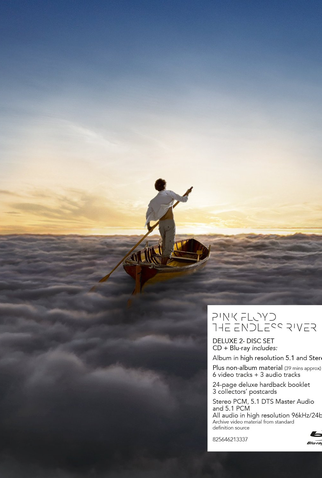 Poster 1 de Filme Pink Floyd - The Endless River (2014)
