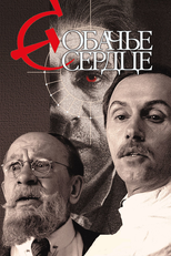 Coração de Cão (Sobachye Serdtse)