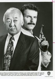 Karatê Kid Ohara (2ª Temporada) (Ohara (Season 2))