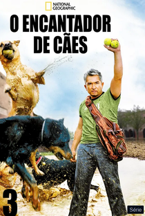 O encantador de cães (3ª temporada) - Poster / Capa / Cartaz - Oficial 1