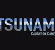 Tsunami Caught on Camera