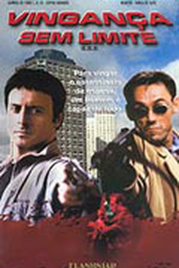 Poster de Filme Vingança Sem Limite (2001)
