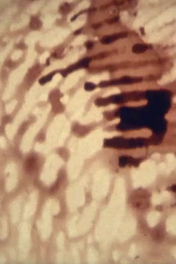 Poster de Curta Skinflick (2002)