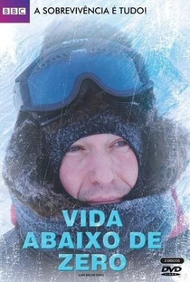 Vida Abaixo de Zero - Poster / Capa / Cartaz - Oficial 2