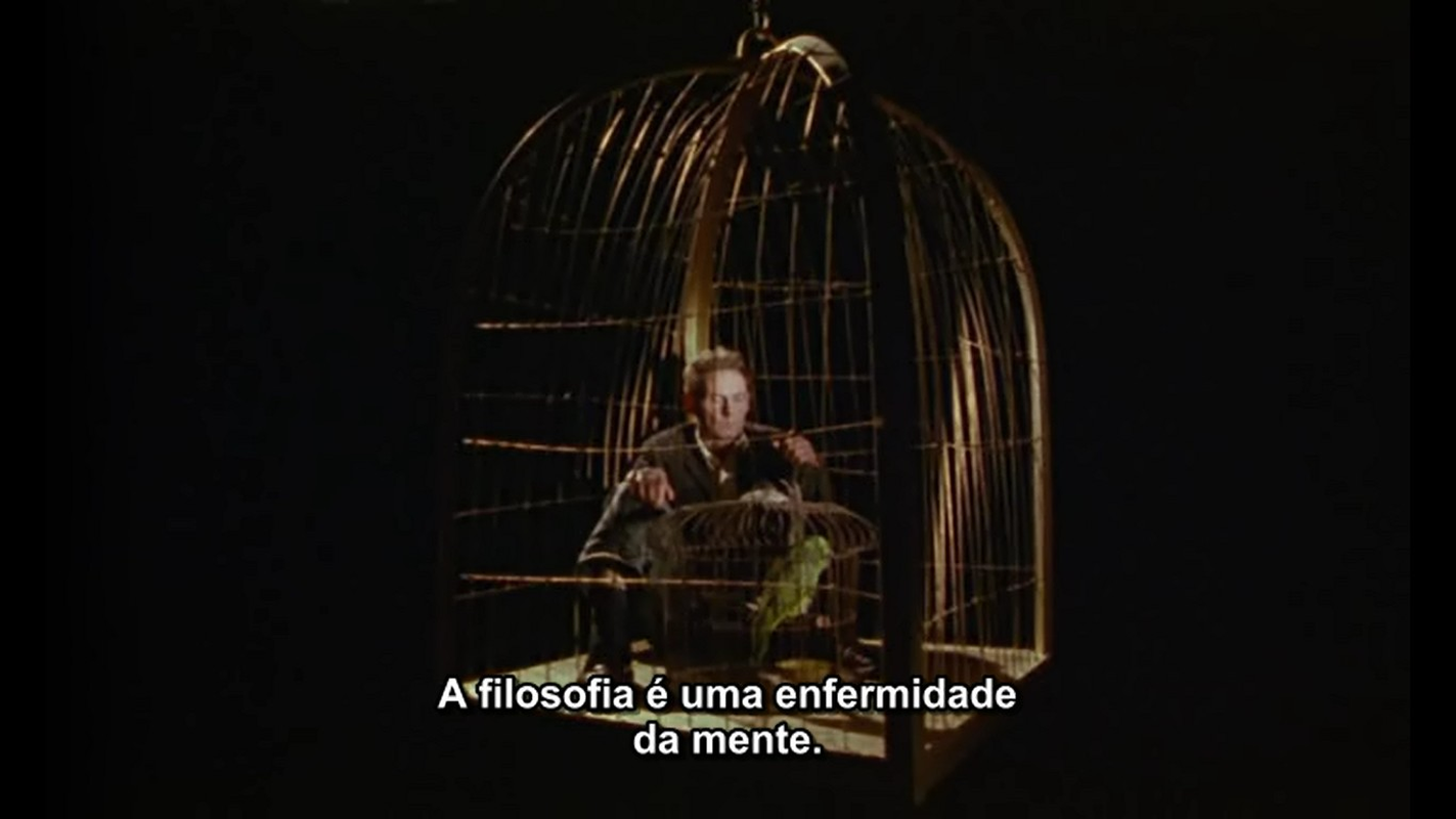 Bruna - Foto 4