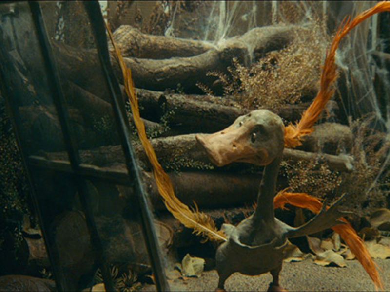 Foto 6 de O Patinho Feio