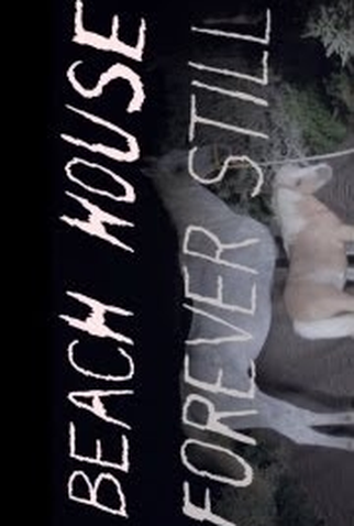 Poster 1 de Curta Forever Still (2013)