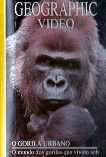 National Geographic Video - O Gorila Urbano - Poster / Capa / Cartaz - Oficial 1