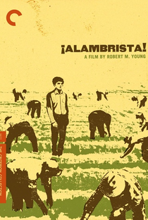 Alambrista! - Poster / Capa / Cartaz - Oficial 1