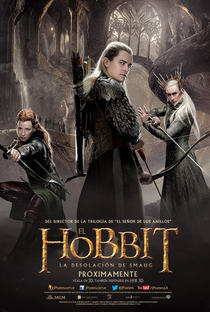 O Hobbit: A Desolação de Smaug - Poster / Capa / Cartaz - Oficial 13