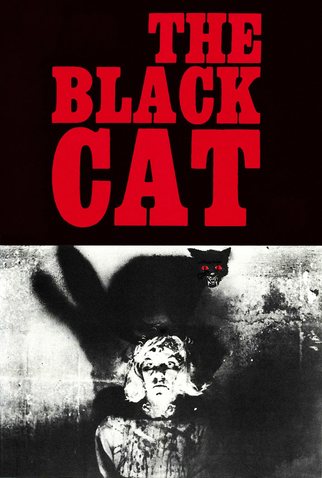 Poster 2 de Filme The Black Cat (1966)