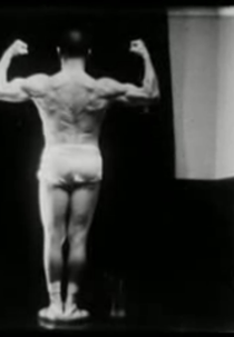 Os Musculos Superficiais do Homem (Os Musculos Superficiais do Homem)