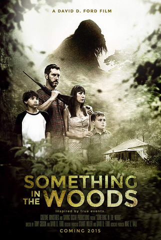 Poster 1 de Filme Something in the Woods (2016)