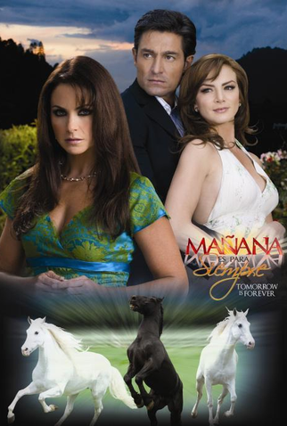 Poster 4 de TV Amanha é Para Sempre (2008)