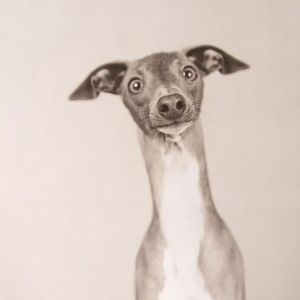 Foto de perfil de Jeronimo