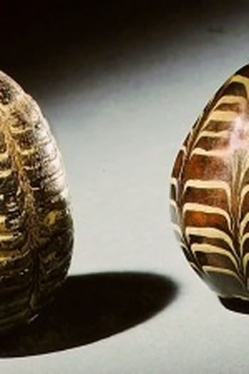 Poster de Episódio Decoding the Cosmic Egg (2016)