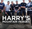 Harry's Mountain Heroes