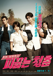 Hot Young Bloods (Pikkeulneun Chungchoon)