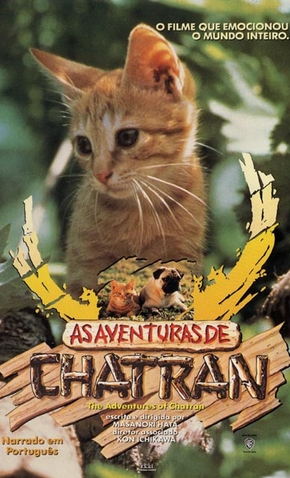 As Aventuras de Chatran - 19 de Janeiro de 1989 | Filmow
