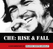 Che: Ascensão e Queda