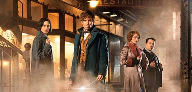 Animais Fantásticos E Onde Habitam: J.K. Rowling já está escrevendo o roteiro da sequência