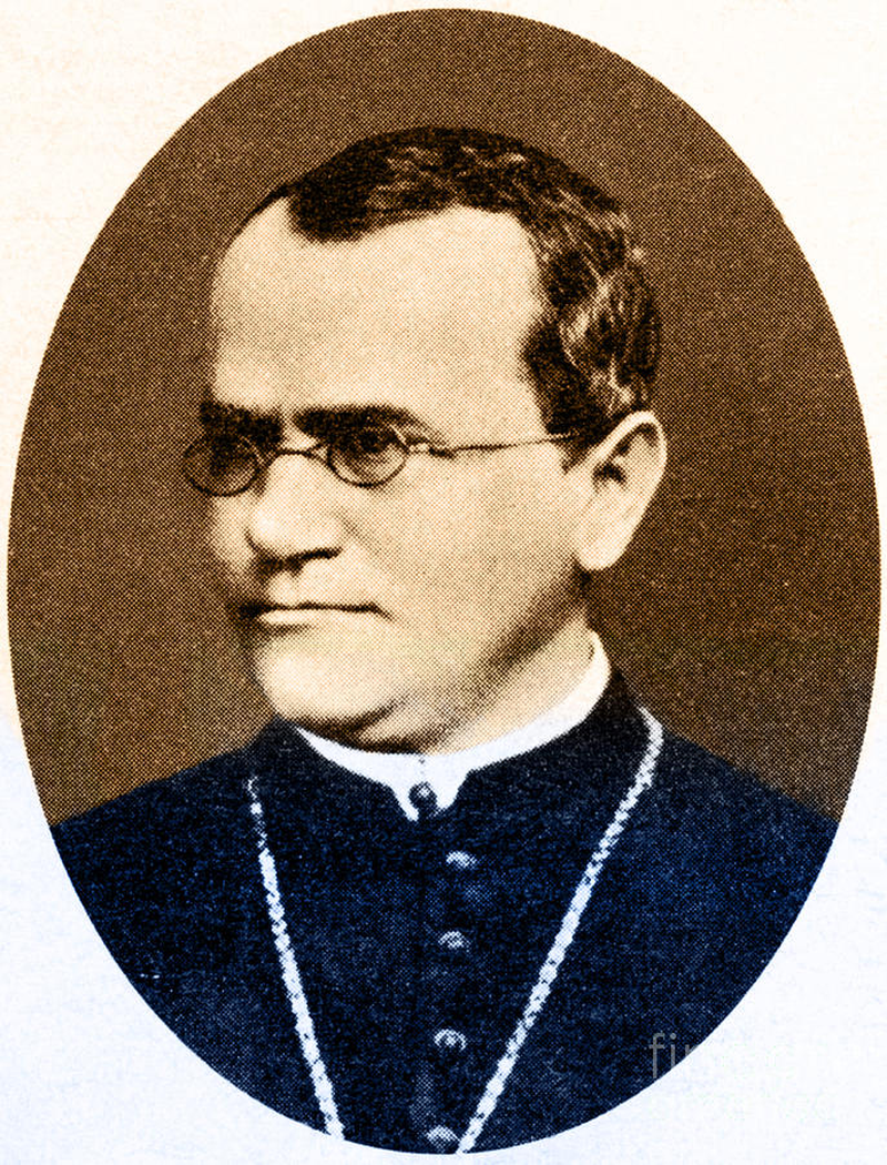 Gregor Johann - Foto 3