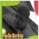 Foto de perfil de roberto