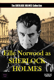 The Last Adventures of Sherlock Holmes - Poster / Capa / Cartaz - Oficial 1