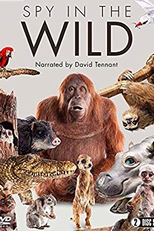 Espiões da Natureza (Spy in the Wild)