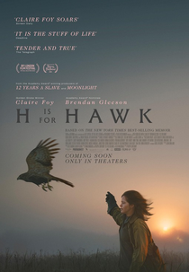H is For Hawk (H is For Hawk)