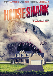 House Shark (House Shark)