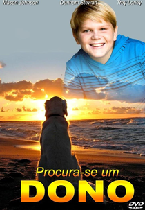 Procura-se um dono (The Stray)