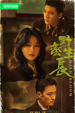 Wild Bloom (野蛮生长)