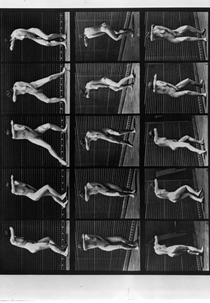 Human Figure in Motion (Human Figure in Motion)